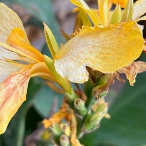 Meet your Posher, Tina